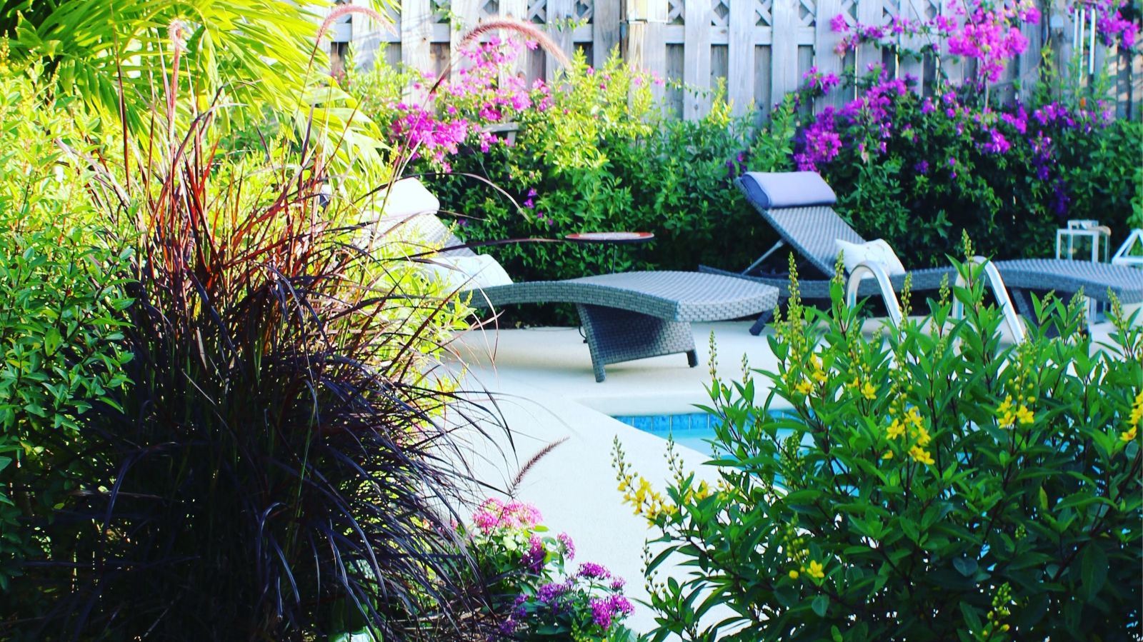 How to Turn Your Backyard into an Oasis