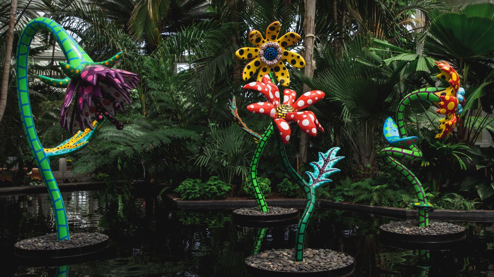 NYBG's Kusama: Cosmic Nature NYBG's Kusama: Cosmic Nature