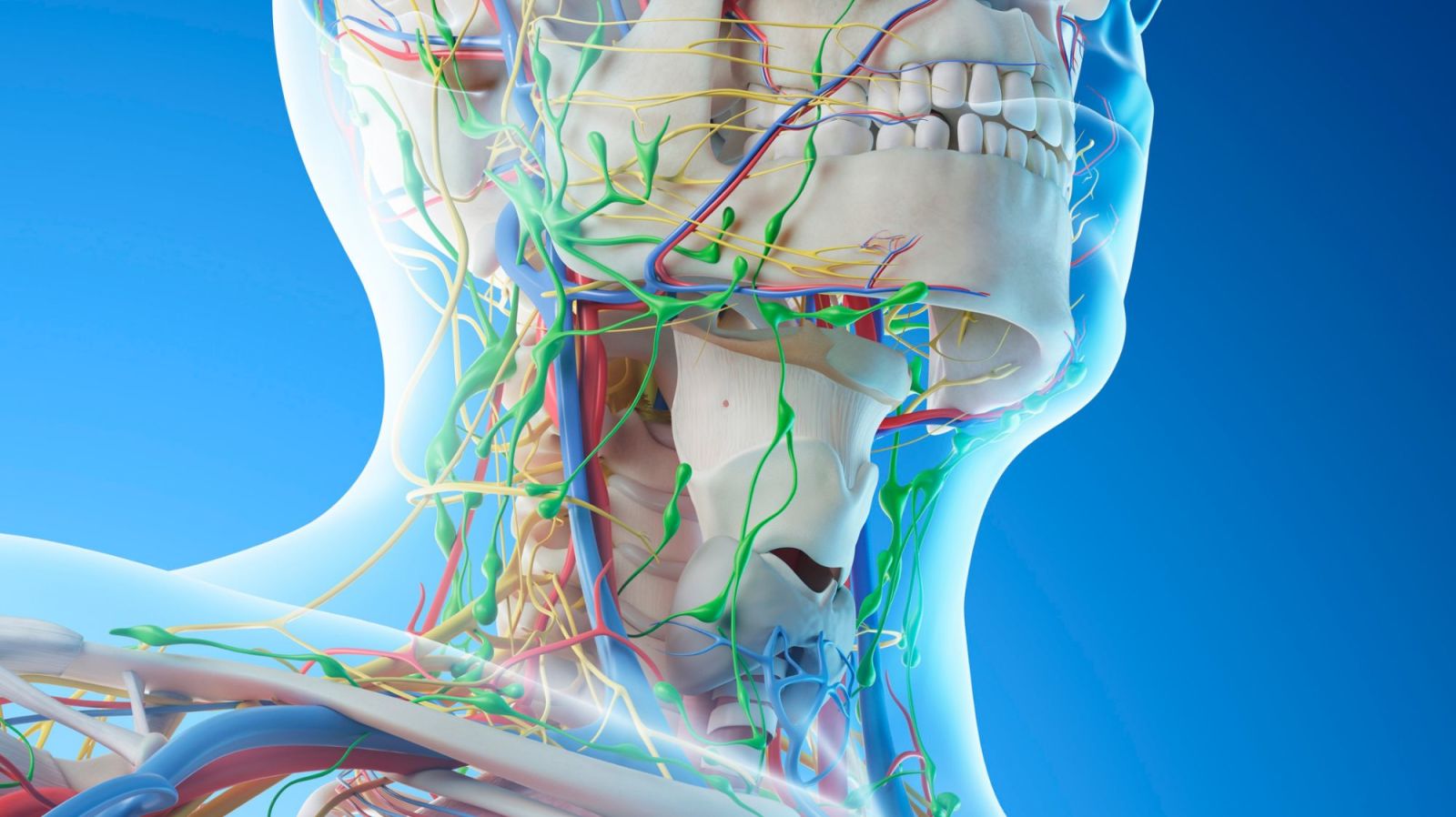 Navigating the Complexities of Thoracic Outlet Syndrome: