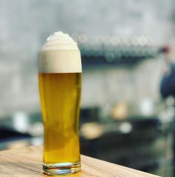 Alma Mader Brewing