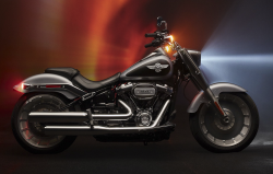 Gail's Harley-Davidson