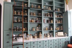 Holgistic (Precision Wellness Inc)