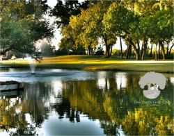 The Trails Golf Club