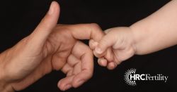 HRC Fertility