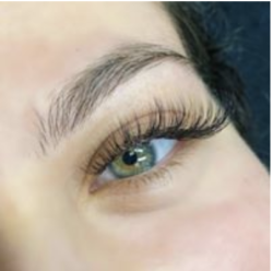 Beaudee Lash Bar