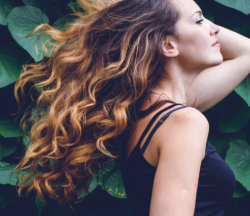 The Evelyn Kershaw Salon