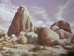 Caroline Jones Studio