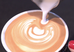 Ascension Coffee - The Shops at Willow Bend