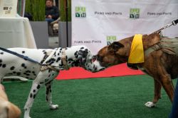 La Jolla Veterinary Hospital
