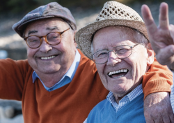 Bristol Park Cypress