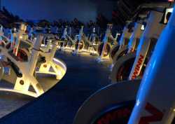 Daily Dose Yoga + Cycling