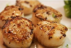 Trestles Coastal Cuisine