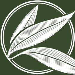 Willow Branch Landscapes