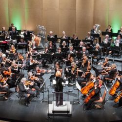 Lone Tree Symphony Orchestra