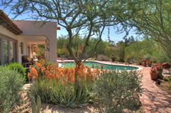 Cesar Mazier Landscaping & Consulting