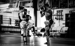 Warrior Way Martial Arts