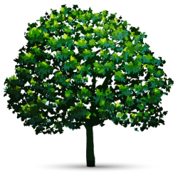The Tree Masters Tree Service
