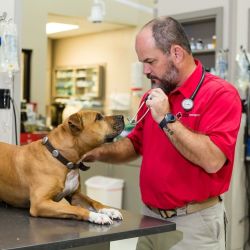 Animal Emergency Center