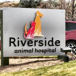Riverside Animal Hospital