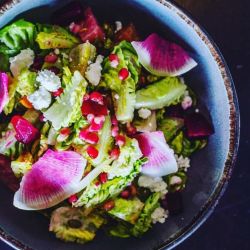 Harvest & Wisdom at Shangri-La Springs