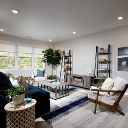 The New Home Company - Arizona