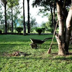 Neighborhood Gardener