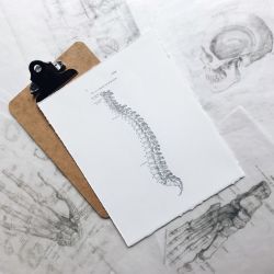 Regenerative Spine and Pain Specialists