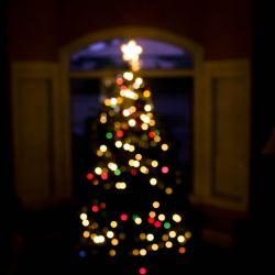 Custom Christmas Lighting