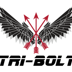 Tri-Bolt Global Security and Intelligence