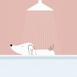 Dog's Day Out
