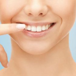 Dr. Gary C. Nawrocki DMD PA