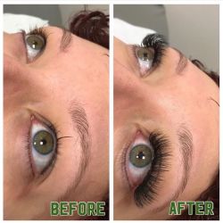 Amazing Lash Studio - Chandler Ocotillo