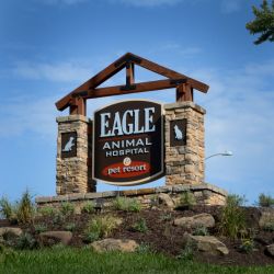 Eagle Animal Hospital & Pet Resort