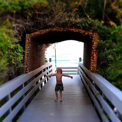 Photography by Alana