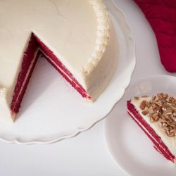 Sammy Cheezecake