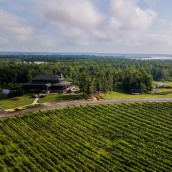 SaudÃ© Creek Vineyards