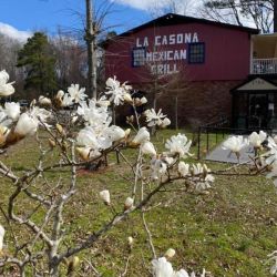 LA CASONA MEXICAN BBQ & GRILL