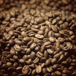 Barts Crazy Good Coffee