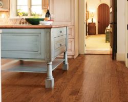 Buddy Allen Carpet One Floor & Home