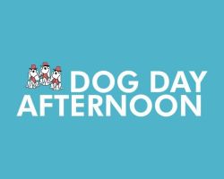 Dog Day Afternoon Inc