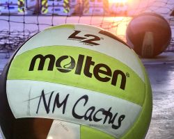 New Mexico Cactus Volleyball Club