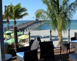Fins at Sharky's