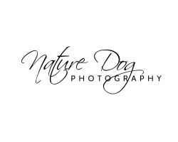 NDP Commercial and Corporate Photography