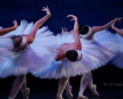 Dance Alive National Ballet