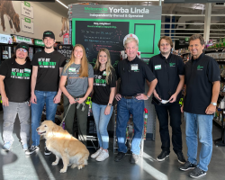 Pet Supplies Plus