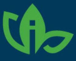 Innova Wealth Partners