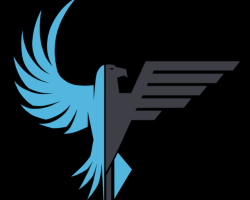 Eagle Aerial Solutions