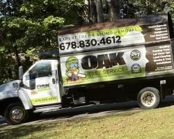 Oak Tree Service