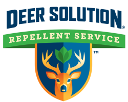 Deer Solution