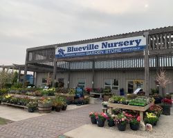 Blueville Nursery Inc